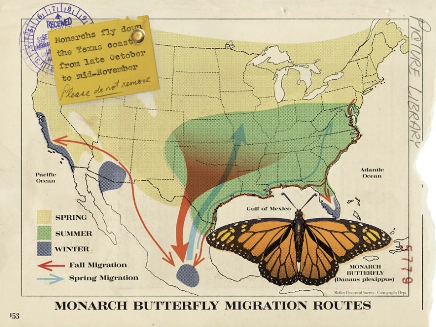 Migration