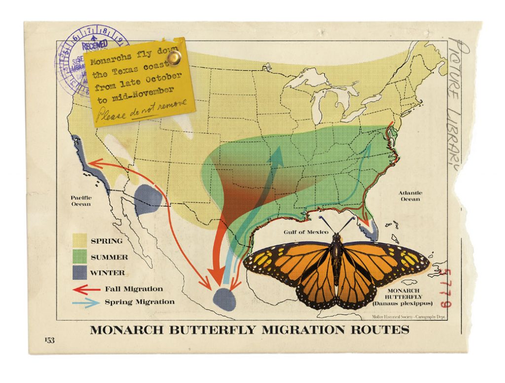 Map of monarch migration routes